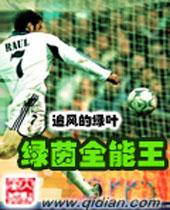 绿茵全能王封面