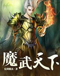 魔武天下封面