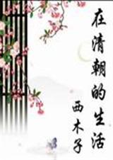 在清朝的生活封面