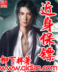 近身保镖封面