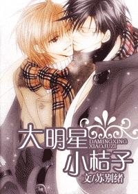 大明星小桔子封面