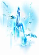 (����)�����λ�VIP ����