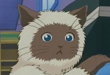 [����]����������