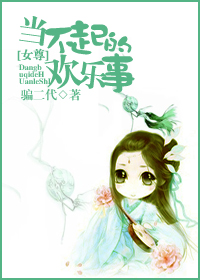 当不起的欢乐事封面