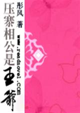 压寨相公是王爷 压寨相公是王爷