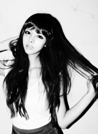 ����:��������