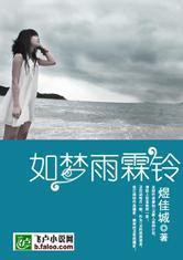 如梦雨霖铃封面