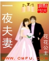 一夜夫妻封面