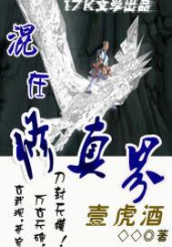 混在修真界封面