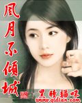 风月不倾城封面