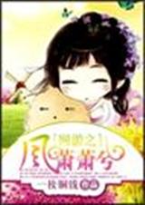 网游之风萧萧兮封面