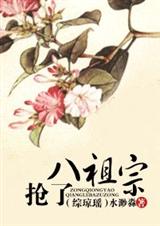 抢了八祖宗 综琼瑶封面