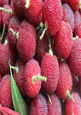 ī��  �������Ѻ���