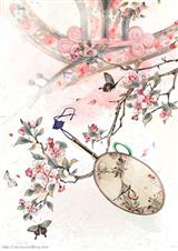 穿越之花月弄影封面