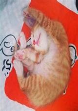 帝女重生 帝女重生