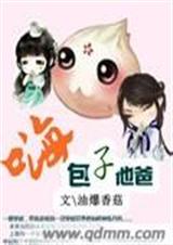 嗨包子他爸 未完封面