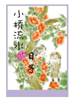 小桥流水的日子封面