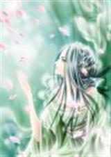 �����ķ�ӡ