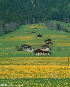 乡村风流事封面
