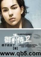 御前侍卫封面