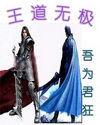 王道无极封面