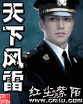 天下风雷封面