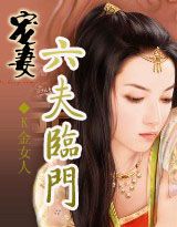 宠妻:六夫临门穿越之限量版娘子封面