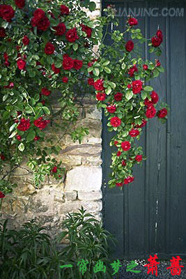 һ������֮��Ǿ