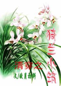 清穿之猗兰小筑(BG皇太极)封面