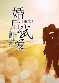 婚后试爱(重生)封面