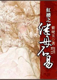红楼之继母不易封面