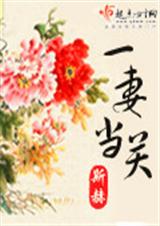 一妻当关(完结)封面