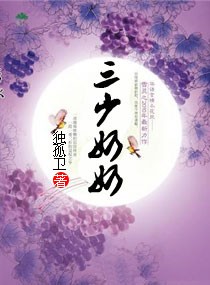 三少奶奶封面
