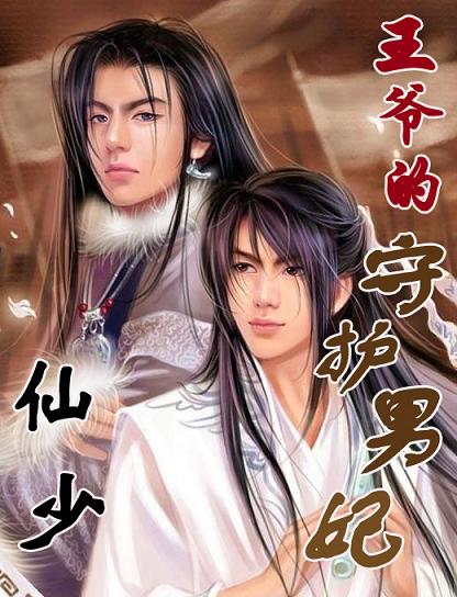 王爷的守护男妃封面