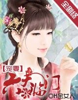 宠妻:六夫临门封面