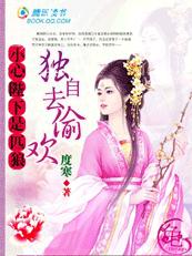 粉嫩夫君是匹狼封面