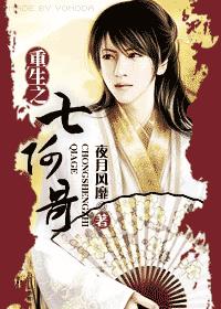 重生之七阿哥(还珠+梅花烙)封面