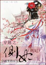 穿越之侧妃 穿越之侧妃