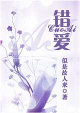 错爱--似是故人来封面