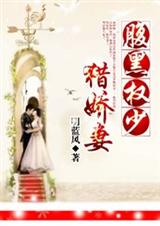 ����Ȩ���Խ���