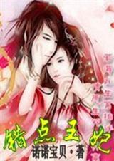 错点王妃封面