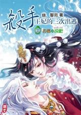 杀手王妃的三次出逃封面