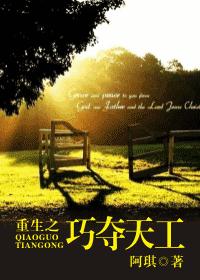 重生之巧夺天工封面