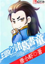 三国之诸葛书童封面