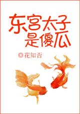 东宫太子是傻瓜封面