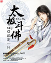 太极斗佛封面