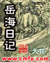 岳海日记封面