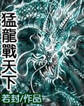 猛龙战天下封面