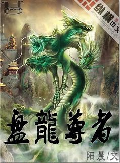 盘龙尊者封面