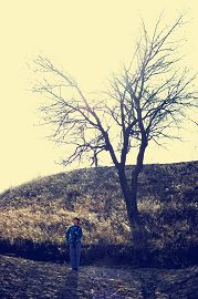 回到村里去种地封面